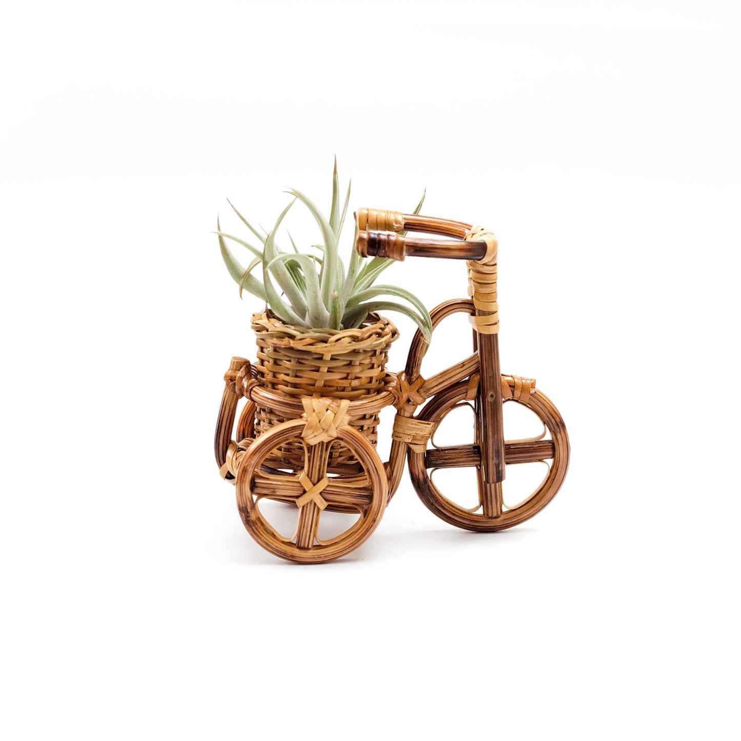 Rattan Bike Planter