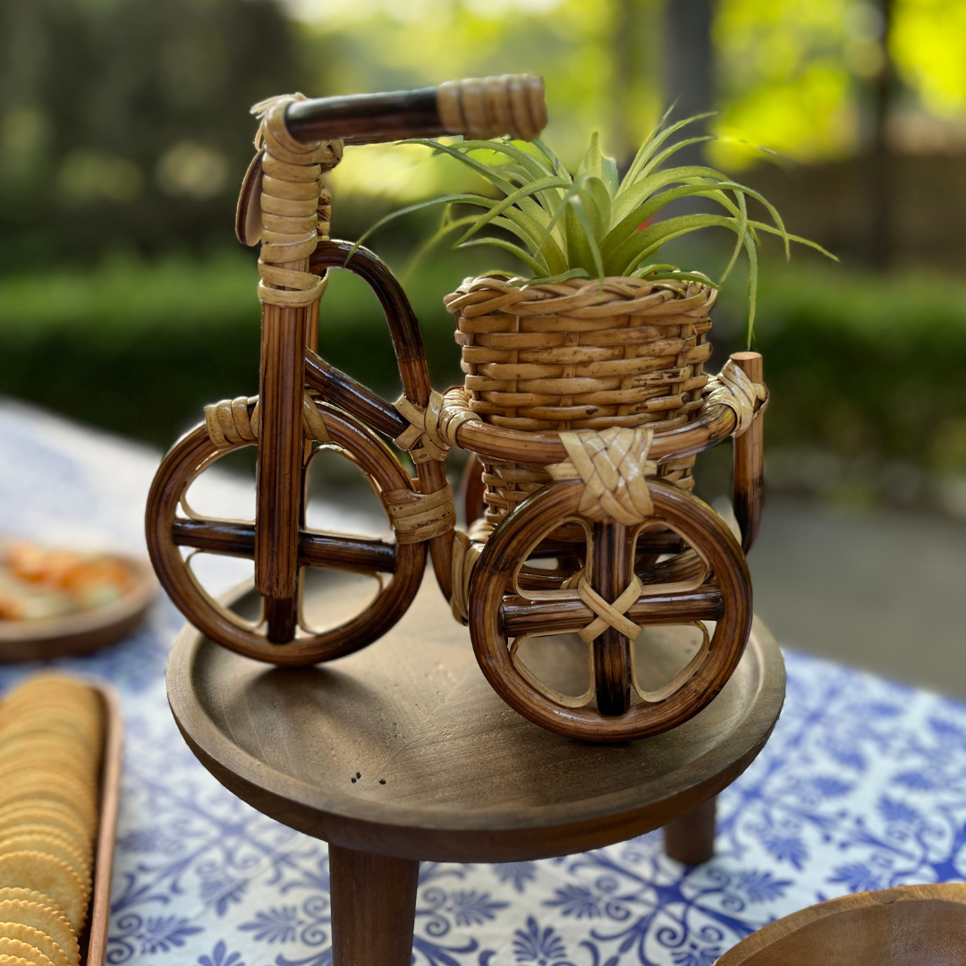 Rattan Bike Planter