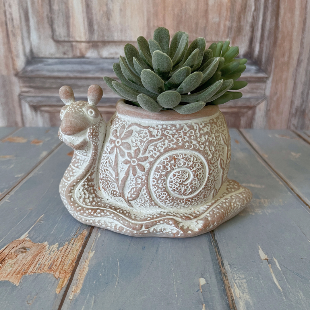 snail succulent What's the Hurry Snail Terracotta Planter – Orange Turtle Lane