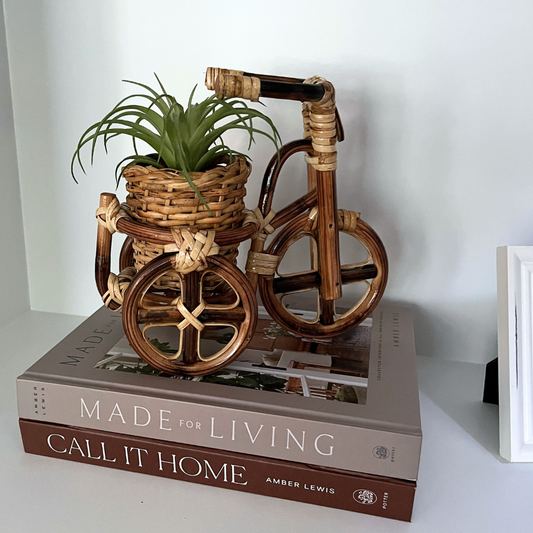 Rattan Bike Planter