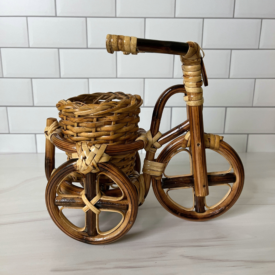 Rattan Bike Planter