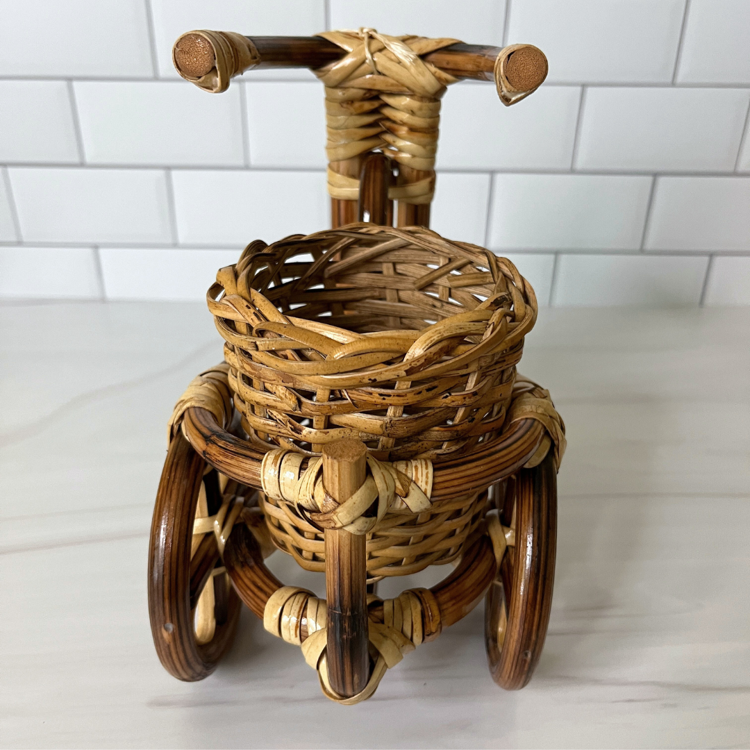 Rattan Bike Planter