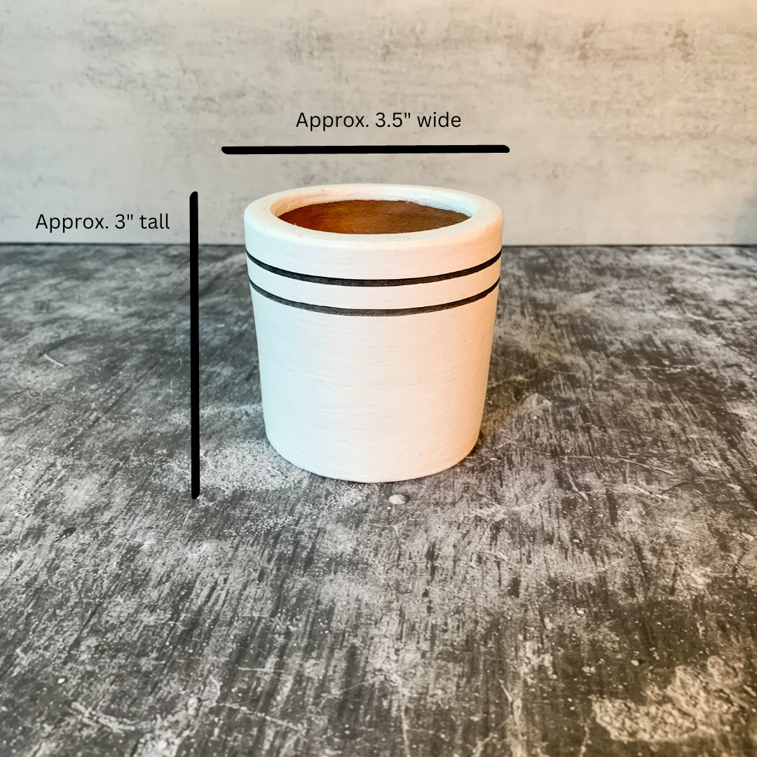 Black & White Chic Planter Collection