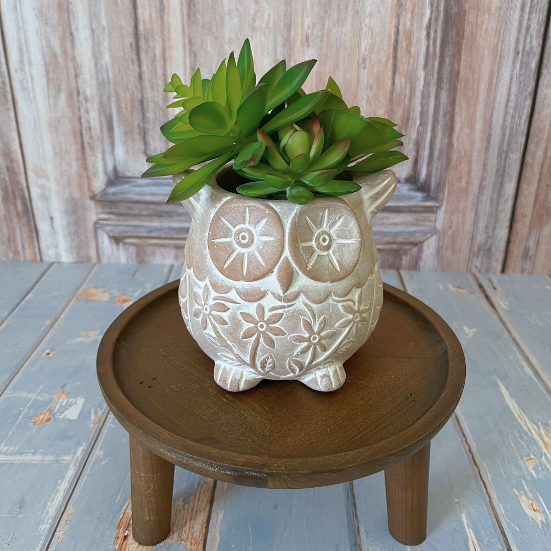 owl pot plant Who's Who Owl Terracotta Planter – Orange Turtle Lane