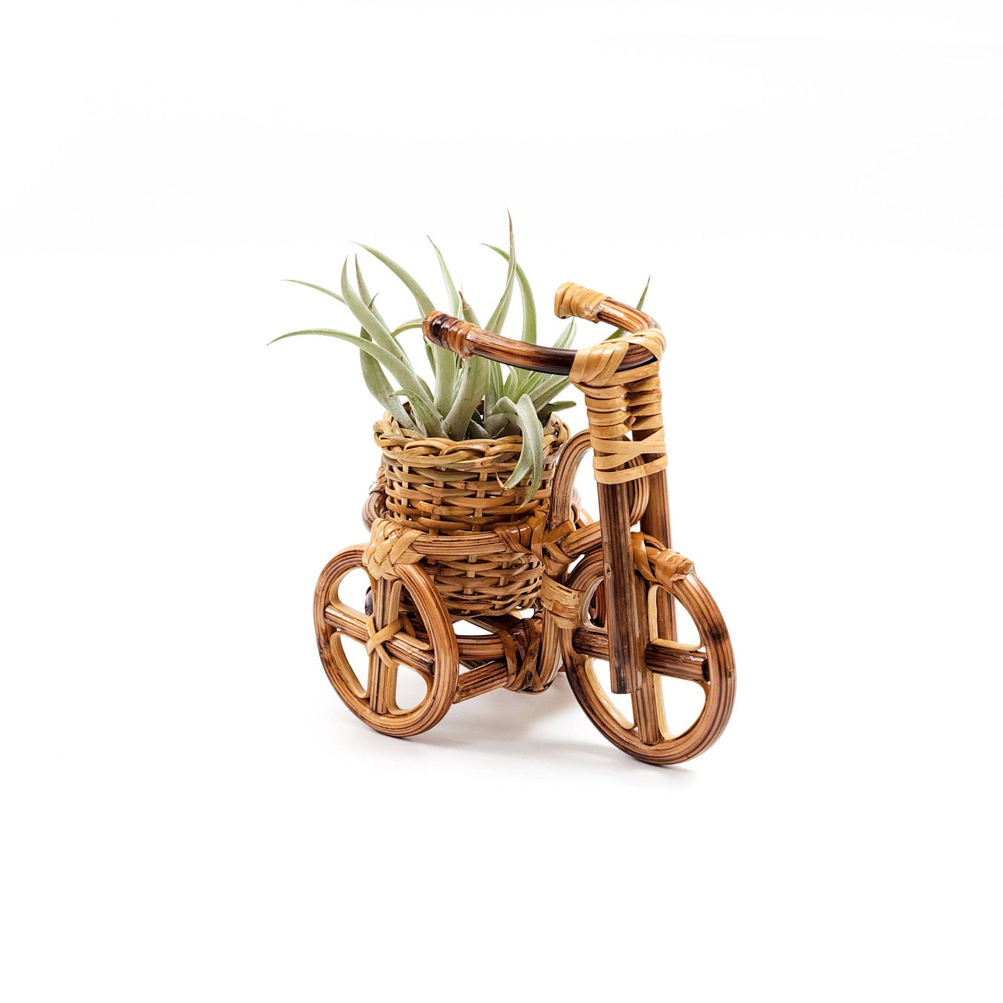 Rattan Bike Planter