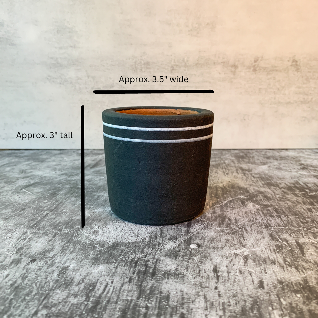 Black & White Chic Planter Collection