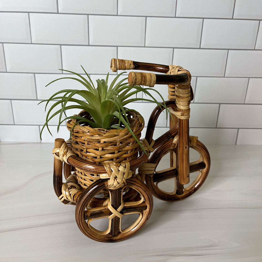 Rattan Bike Planter