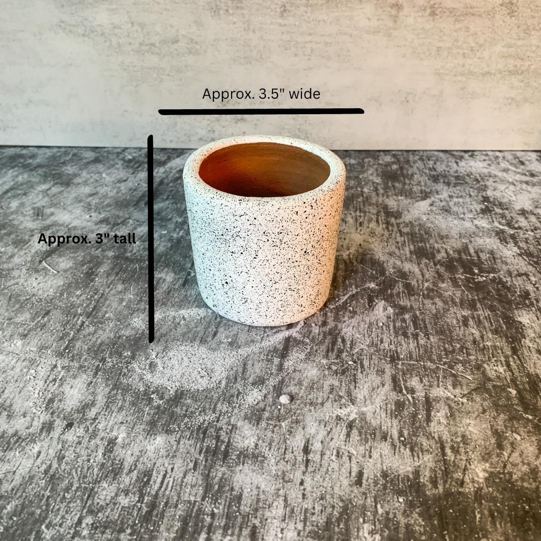 Black & White Chic Planter Collection