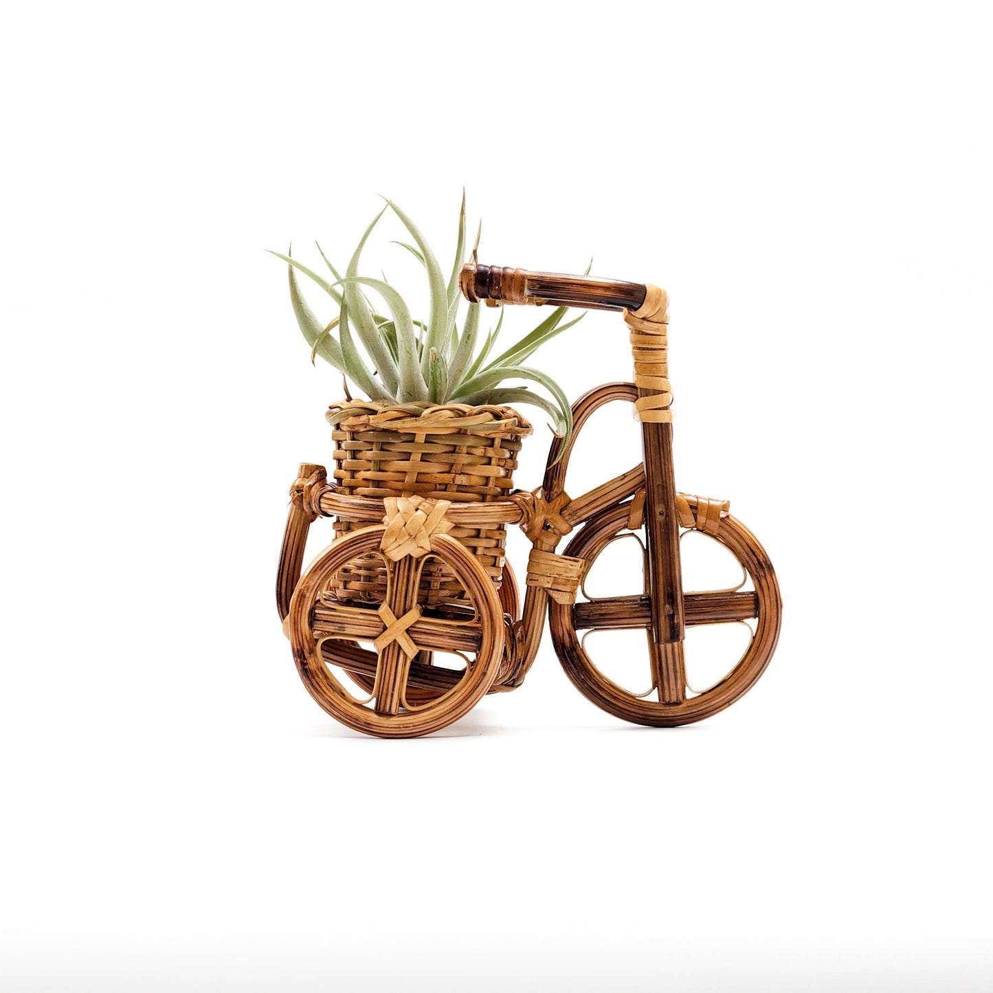 Rattan Bike Planter