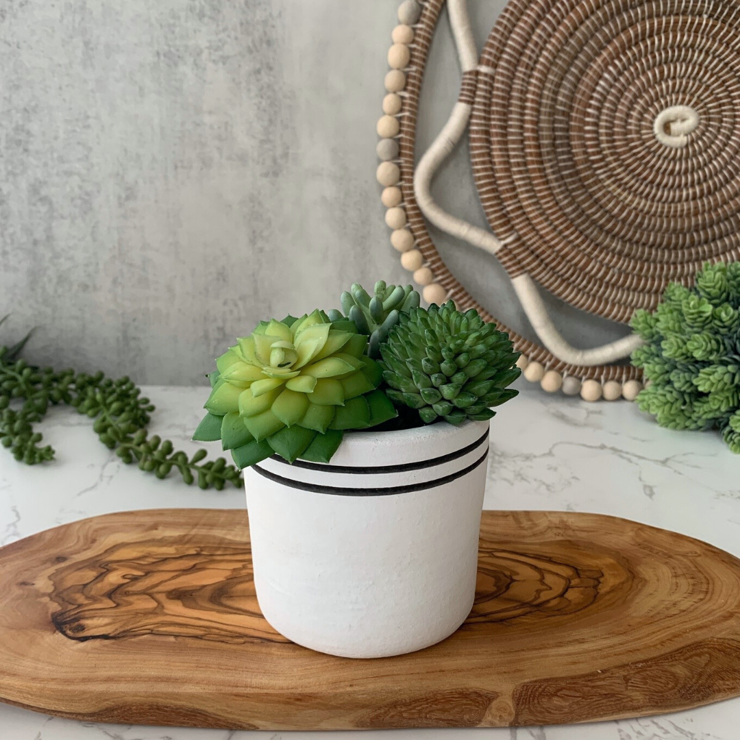 Black & White Chic Planter Collection
