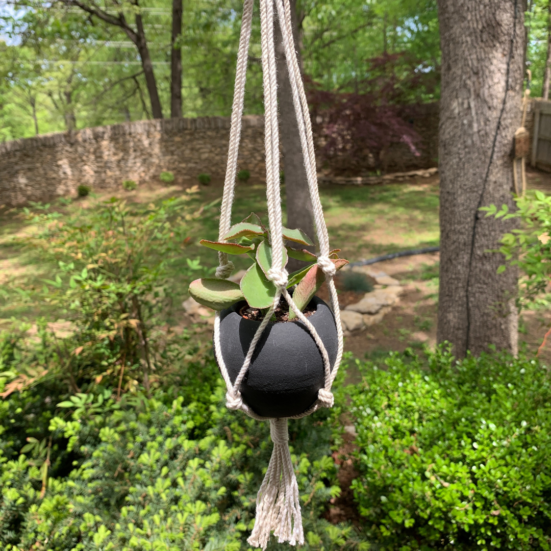 Mini Round planter w/Macrame Hanger - Black