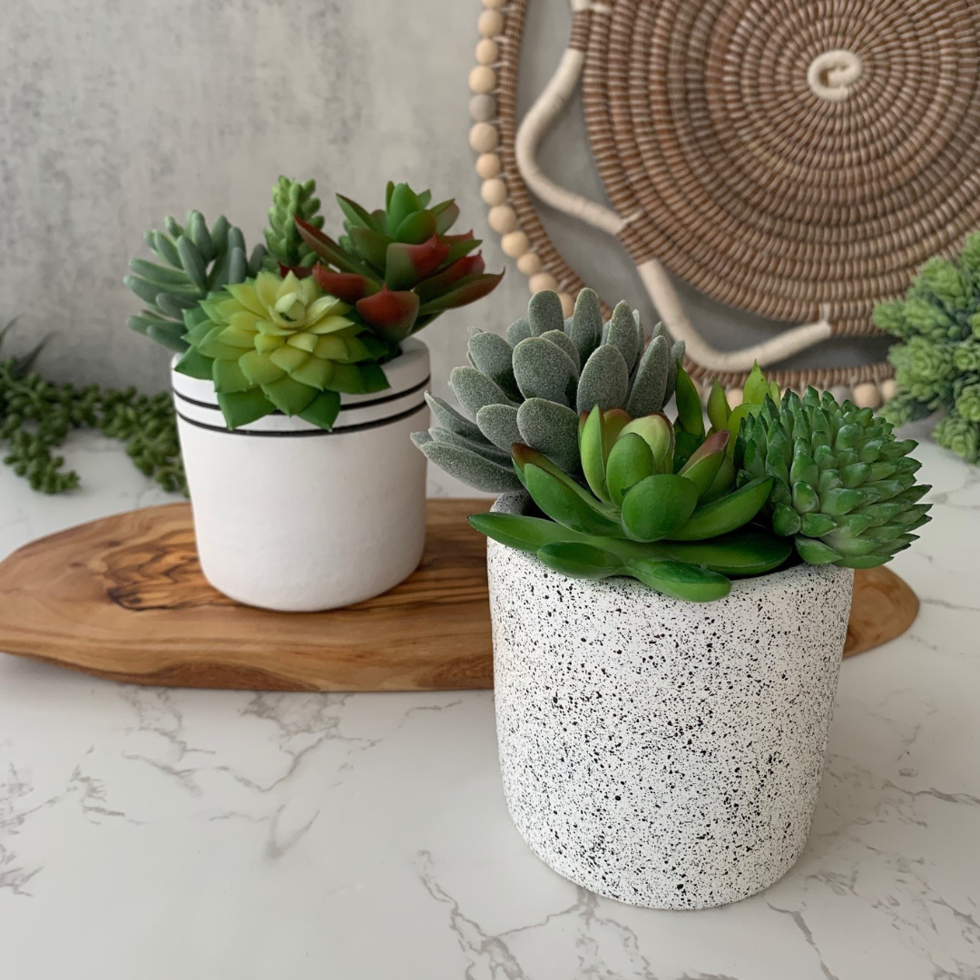 Black & White Chic Planter Collection