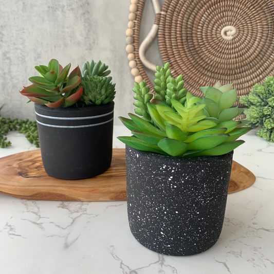 Black & White Chic Planter Collection