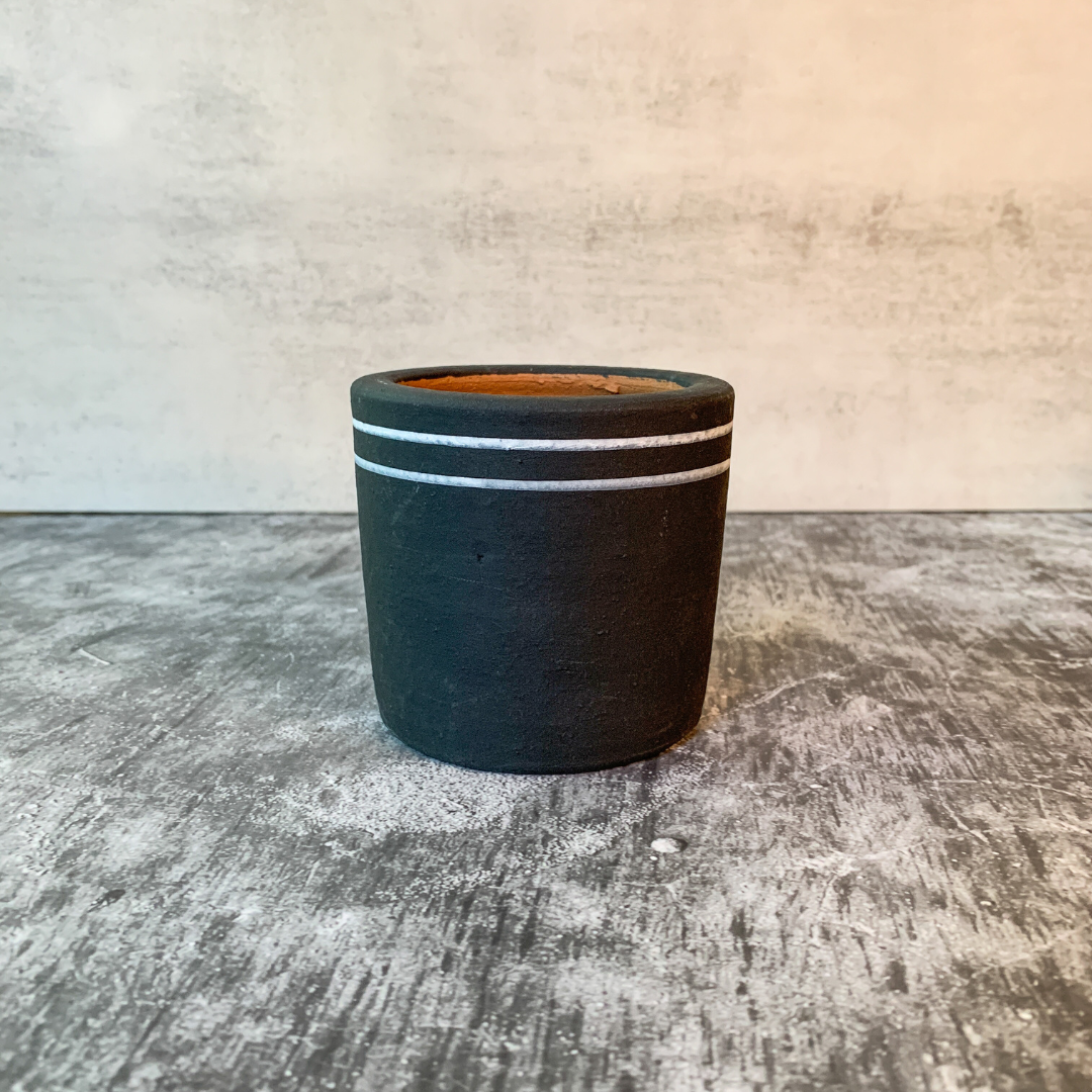 Black & White Chic Planter Collection