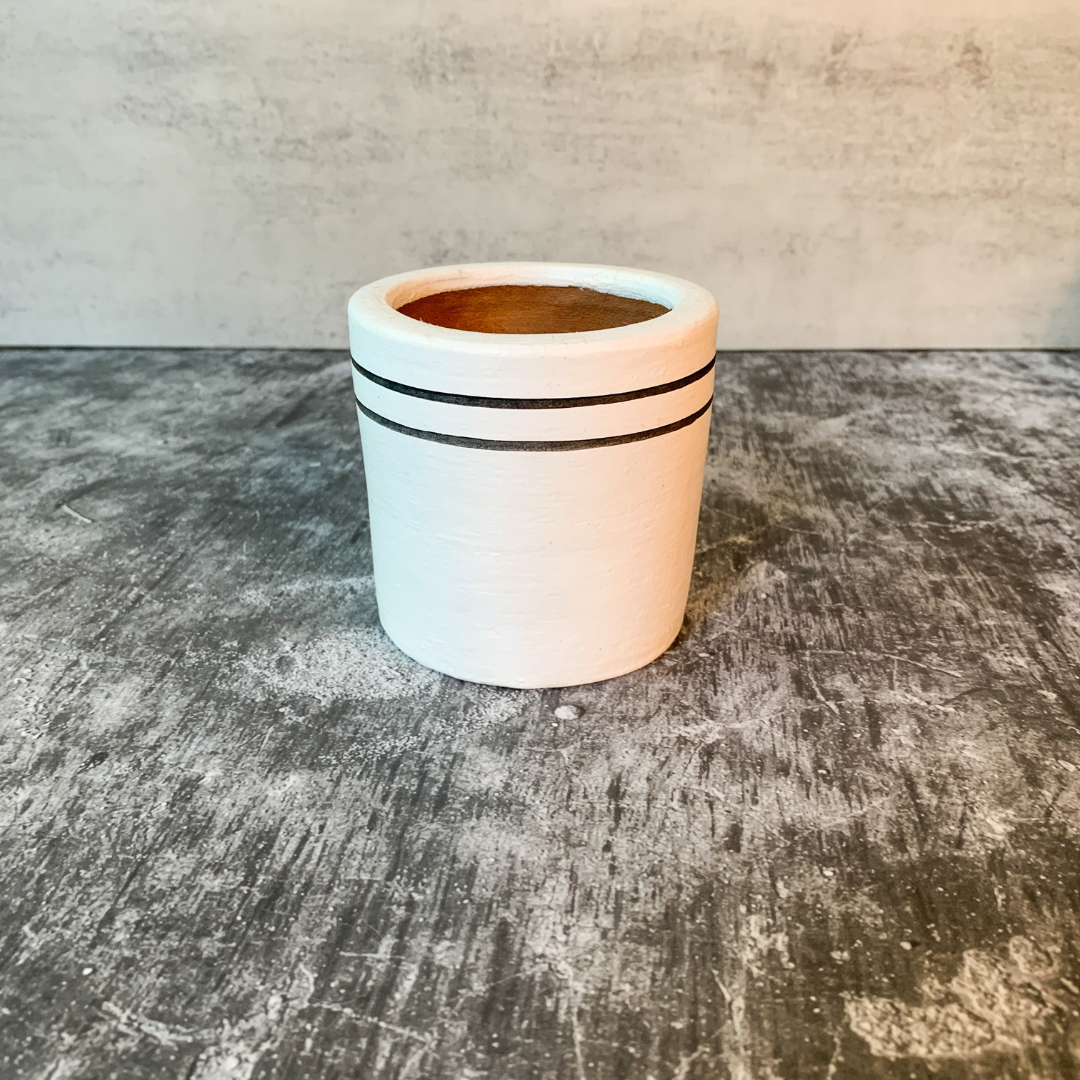 Black & White Chic Planter Collection