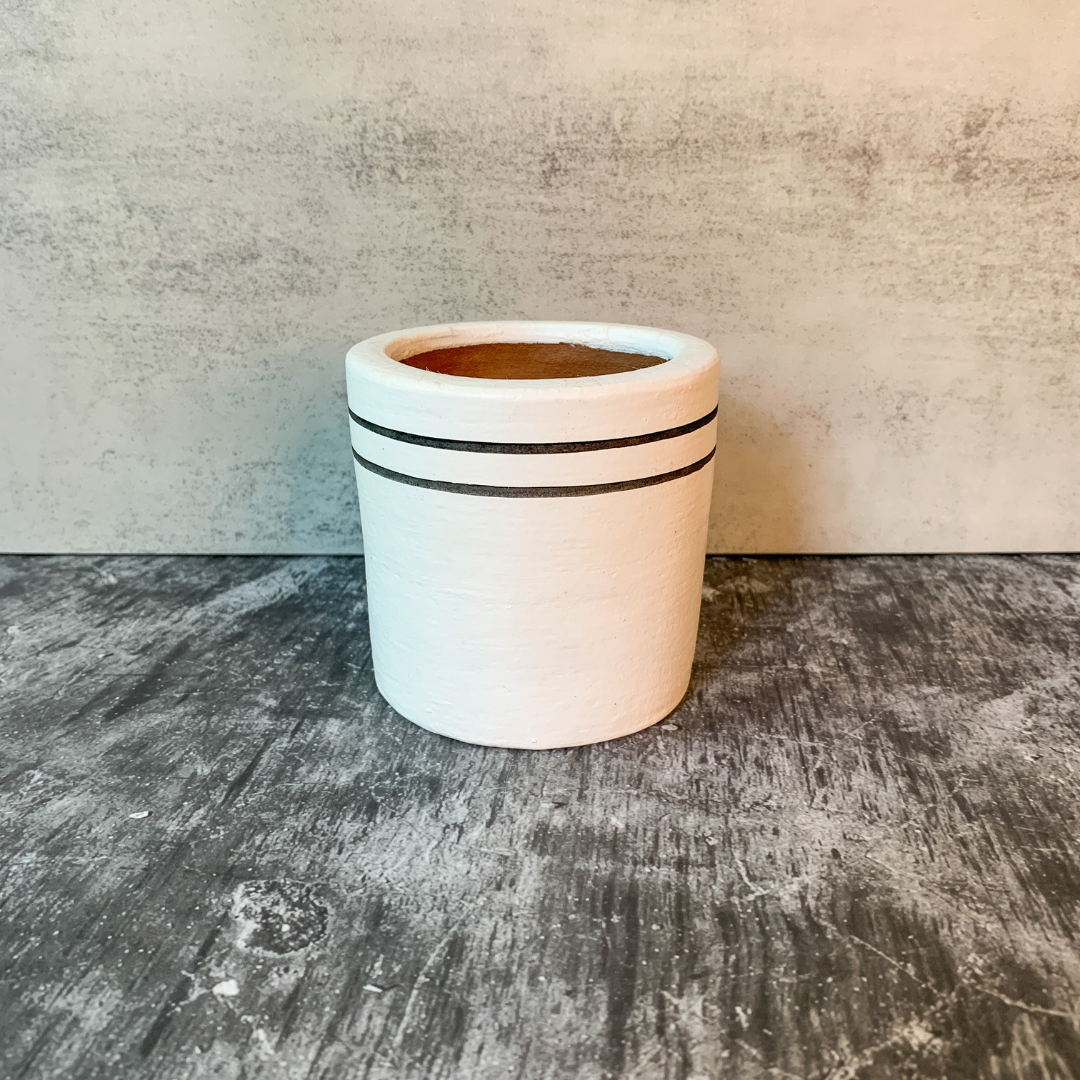 Black & White Chic Planter Collection