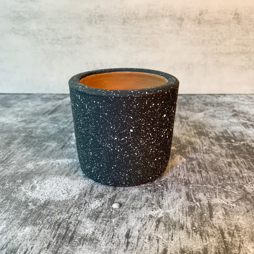 Black & White Chic Planter Collection