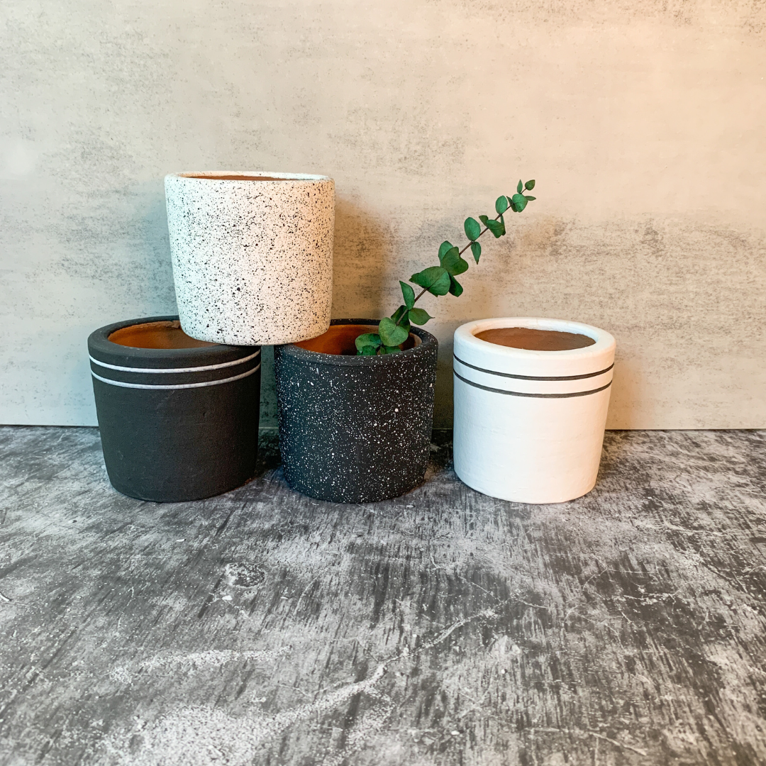 Black & White Chic Planter Collection