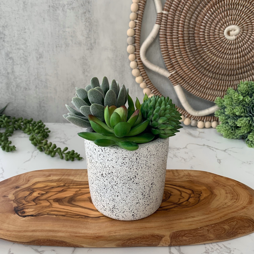 Black & White Chic Planter Collection