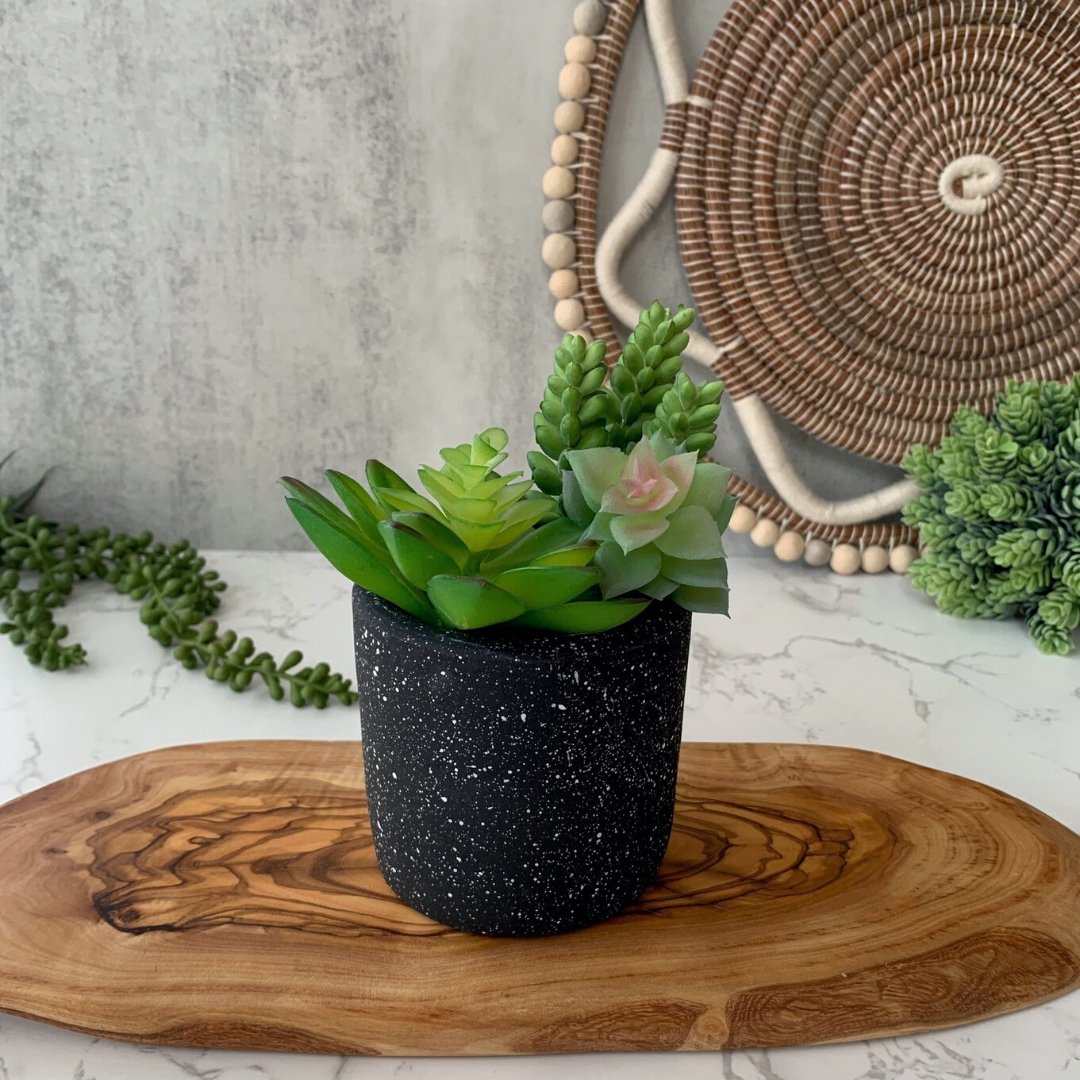 Black & White Chic Planter Collection