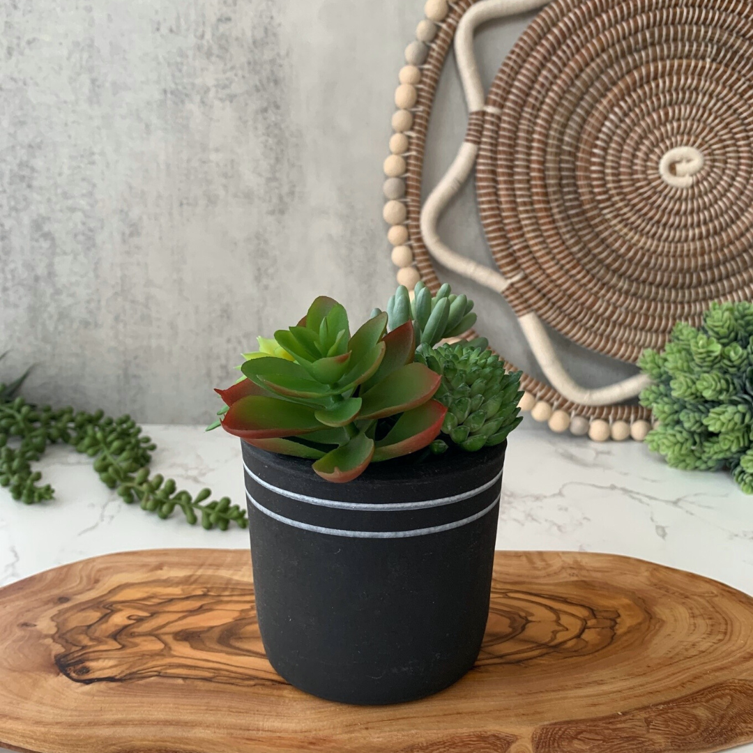Black & White Chic Planter Collection